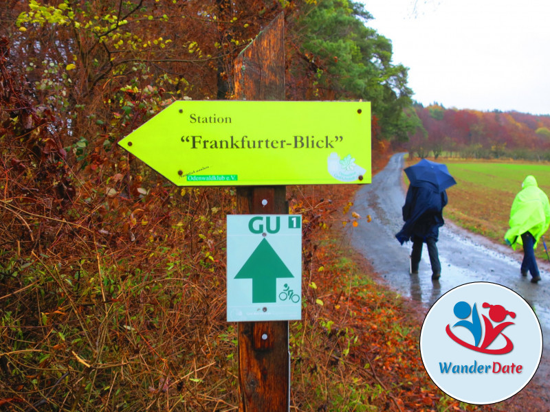 Weininsel Wanderung in Gross-Umstadt