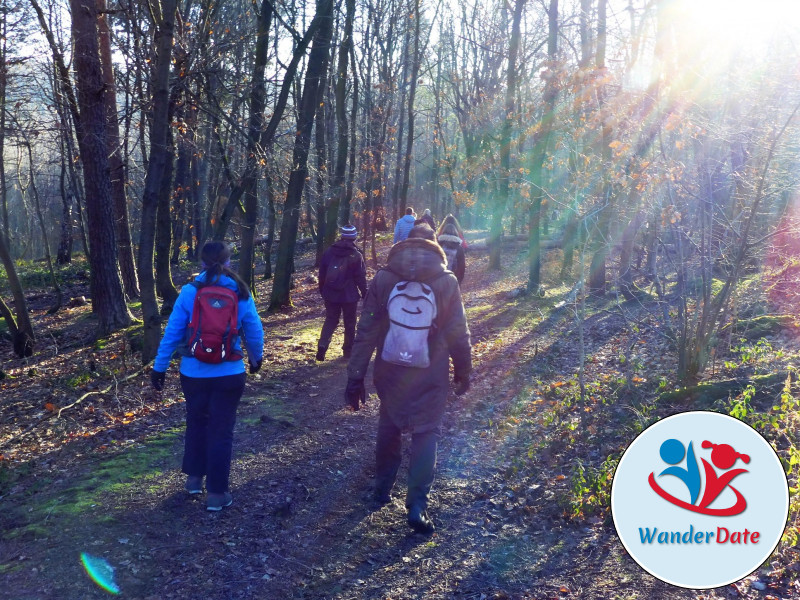 Weininsel Wanderung in Gross-Umstadt