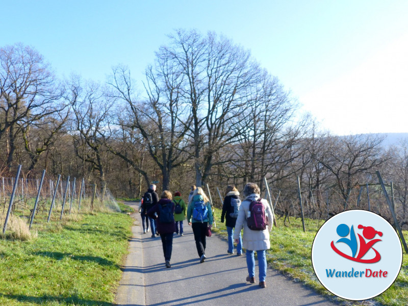 Weininsel Wanderung in Gross-Umstadt