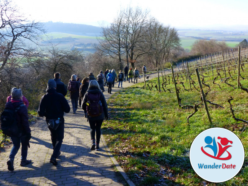 Weininsel Wanderung in Gross-Umstadt