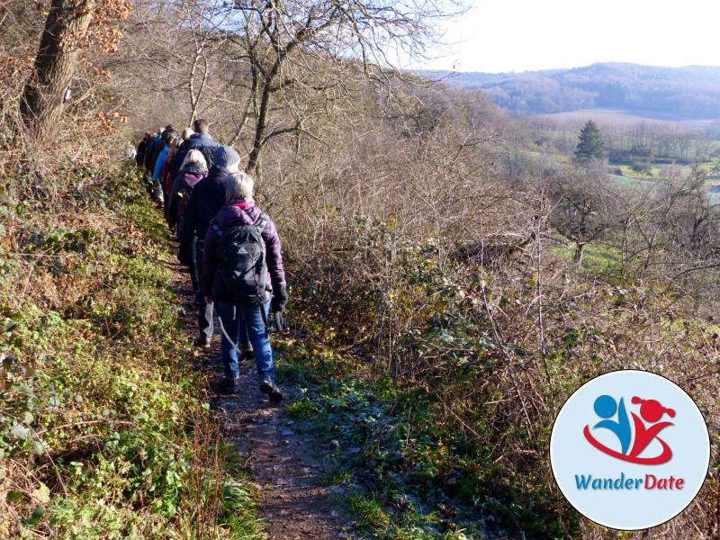 Weininsel Wanderung in Gross-Umstadt