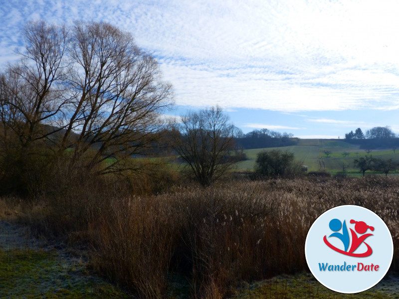 Weininsel Wanderung in Gross-Umstadt