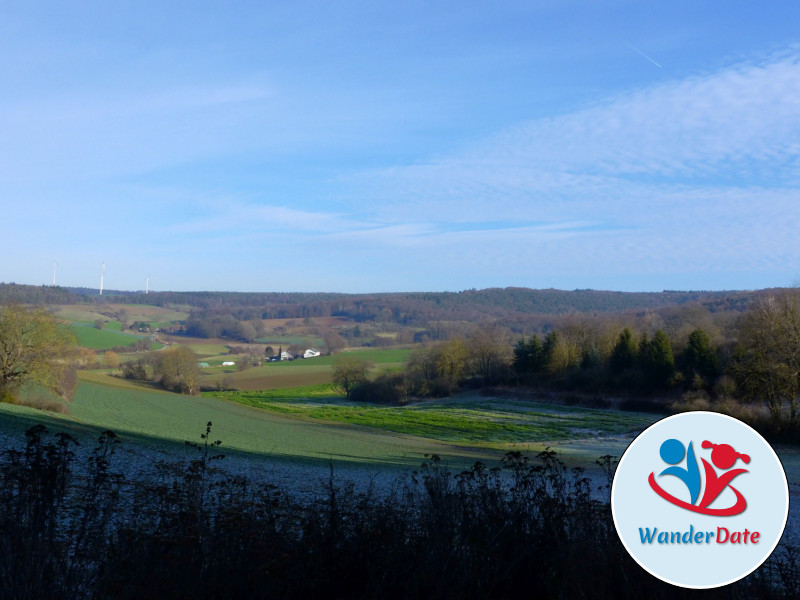 Weininsel Wanderung in Gross-Umstadt