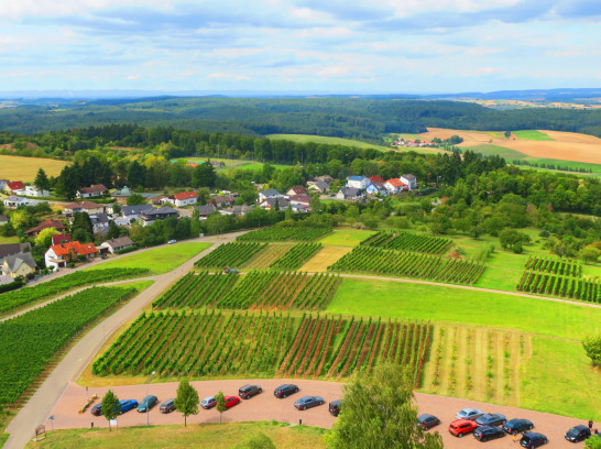 Der Kompass im Kraichgau - Burg Steinsberg