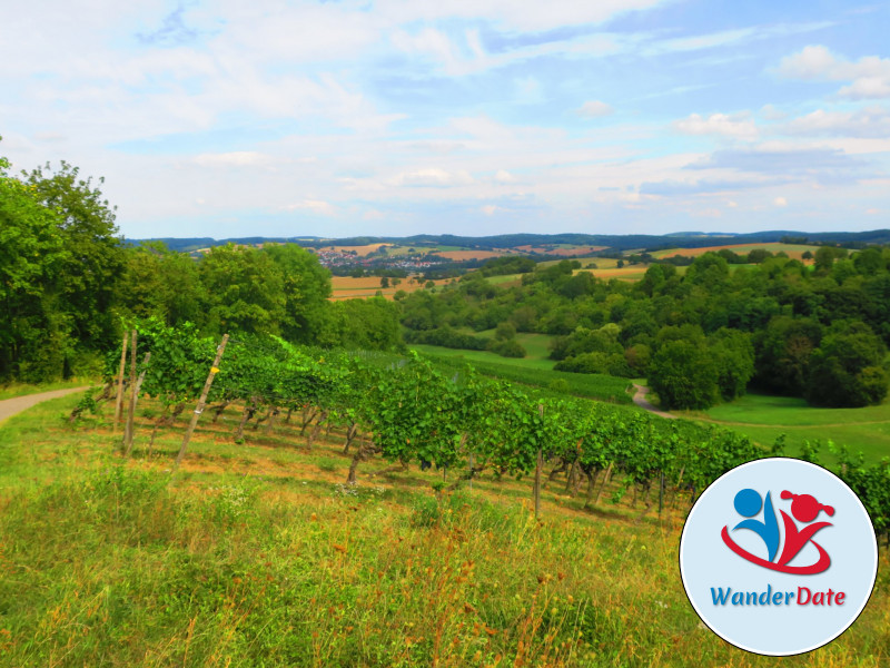 Der Kompass im Kraichgau - Burg Steinsberg