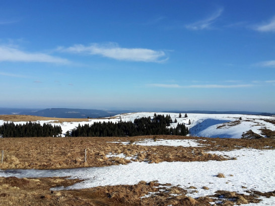 Schneetouren im Schwarzwald