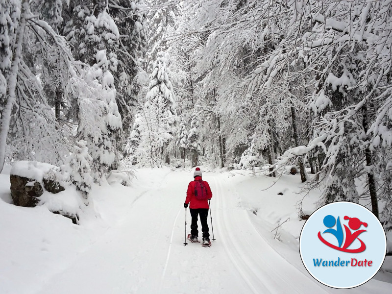 Schneetouren im Schwarzwald