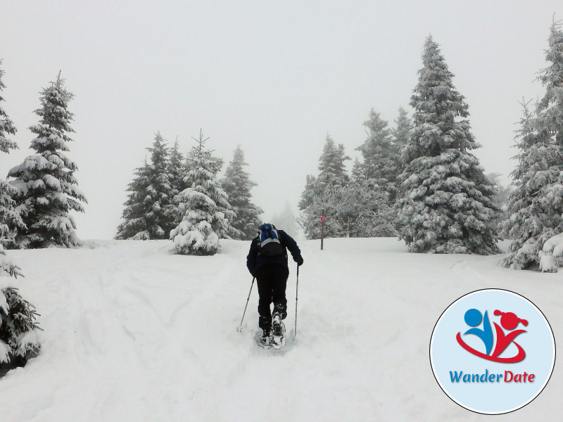 Schneetouren im Schwarzwald