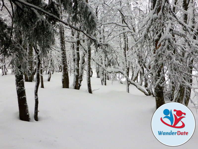 Schneetouren im Schwarzwald