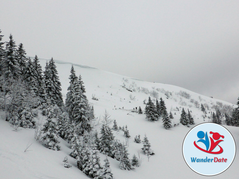 Schneetouren im Schwarzwald