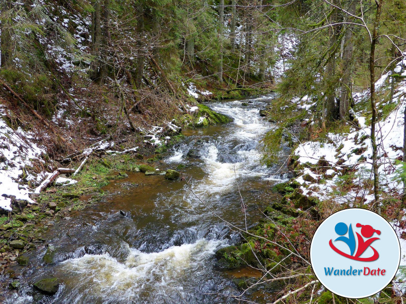 Schneetouren im Schwarzwald