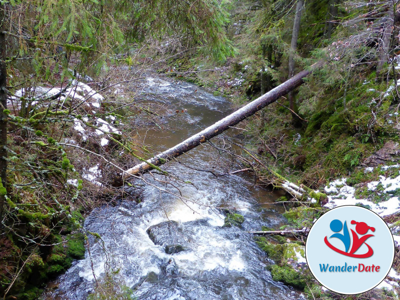 Schneetouren im Schwarzwald