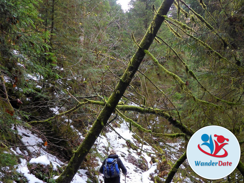 Schneetouren im Schwarzwald