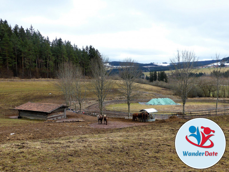 Schneetouren im Schwarzwald