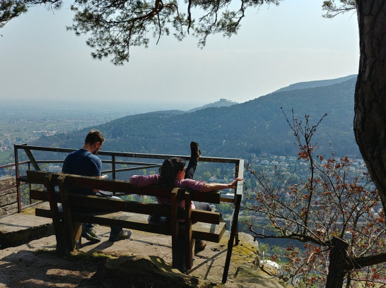 Wolfsburg, Bergstein, Weinbiethaus