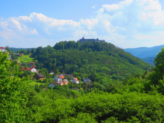 Urwaldsteig am Edersee