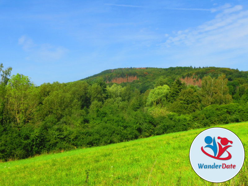 Singlewandern im Naturparadies Siebengebirge