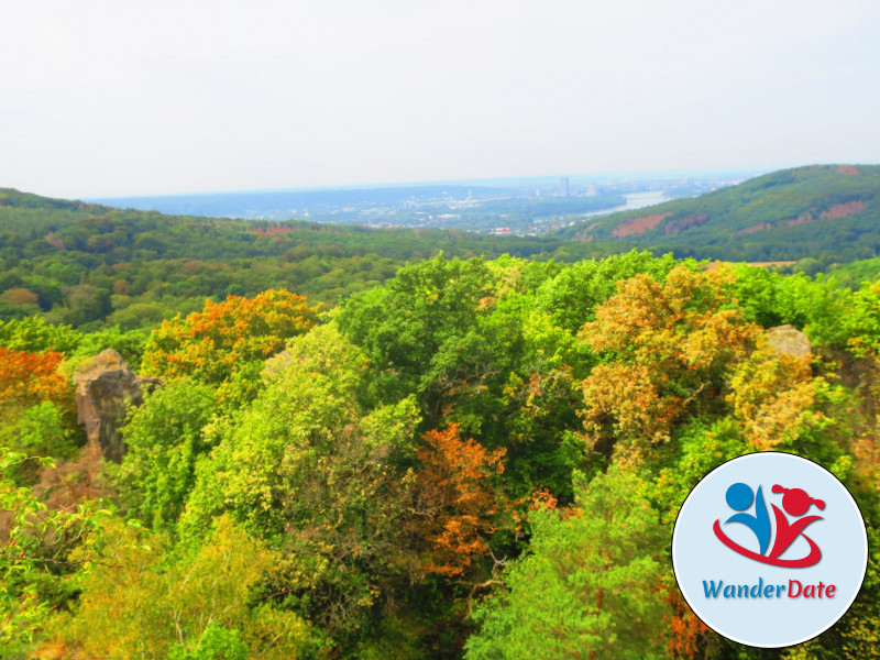 Singlewandern im Naturparadies Siebengebirge