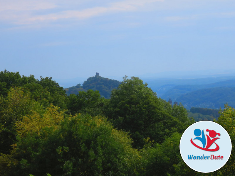 Singlewandern im Naturparadies Siebengebirge