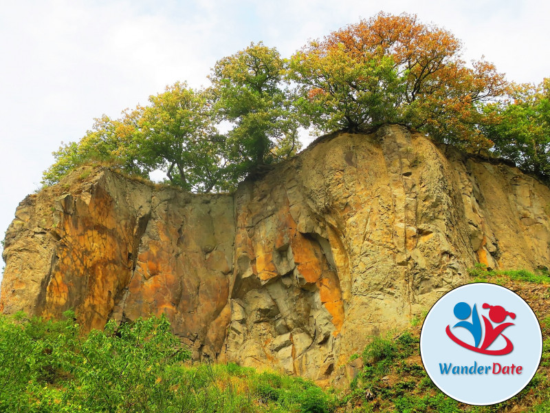 Singlewandern im Naturparadies Siebengebirge