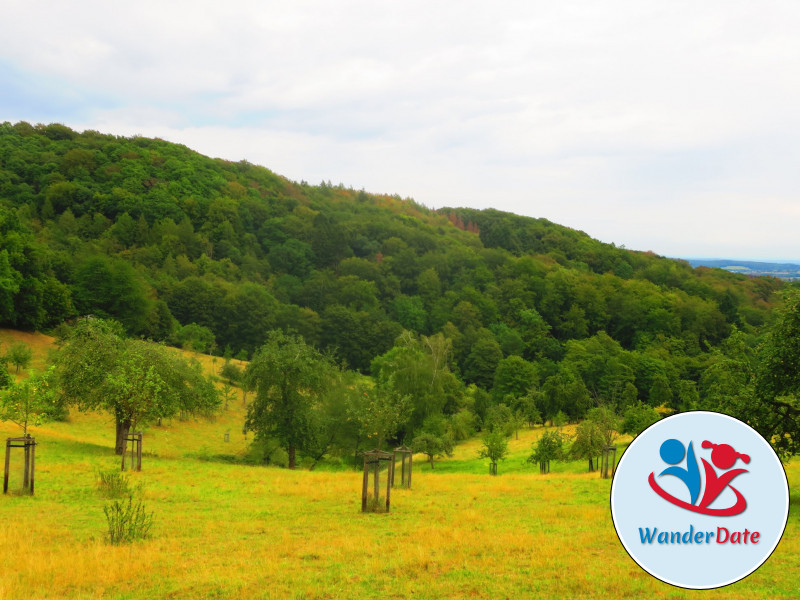 Singlewandern im Naturparadies Siebengebirge