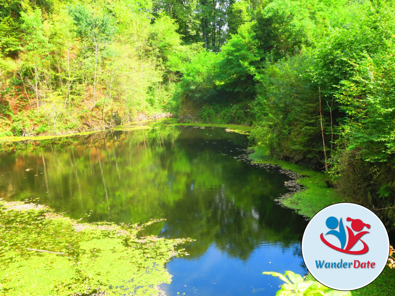 Singlewandern im Naturparadies Siebengebirge