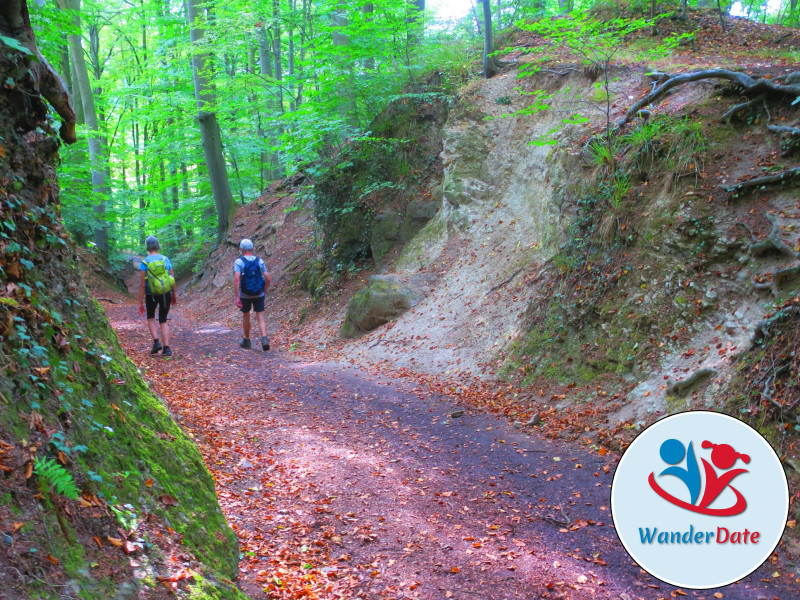 Singlewandern im Naturparadies Siebengebirge