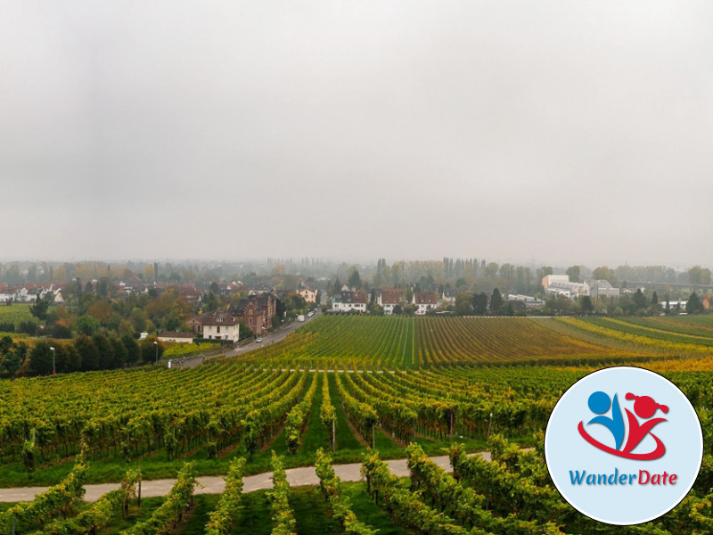 Weinerlebnisweg Himmel und Hölle