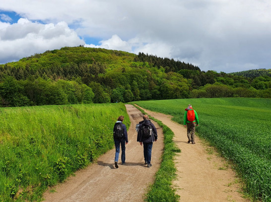 Auf steinigen Wegen zum Wildeleutestein