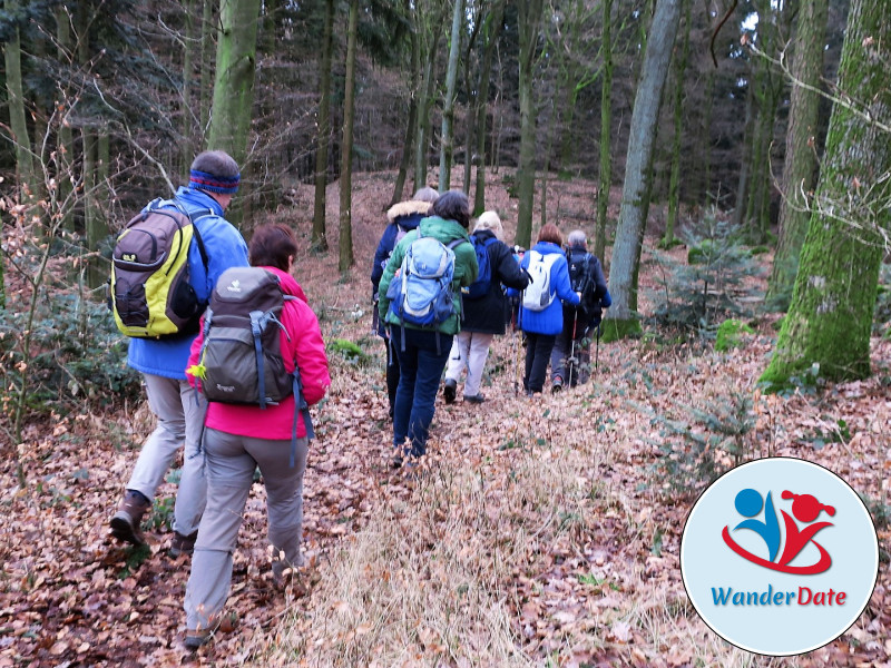 Auf steinigen Wegen zum Wildeleutestein