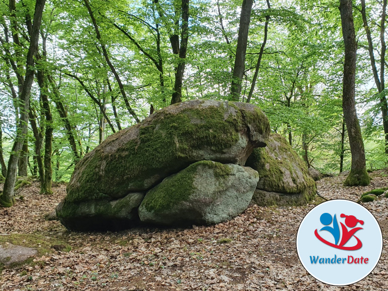 Auf steinigen Wegen zum Wildeleutestein