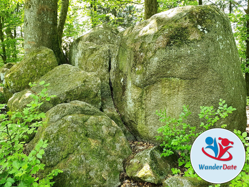 Auf steinigen Wegen zum Wildeleutestein