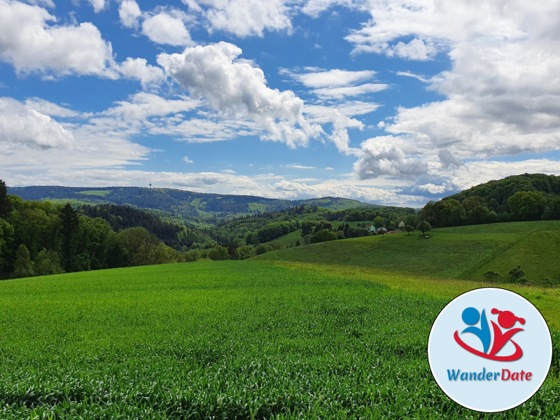 Auf steinigen Wegen zum Wildeleutestein