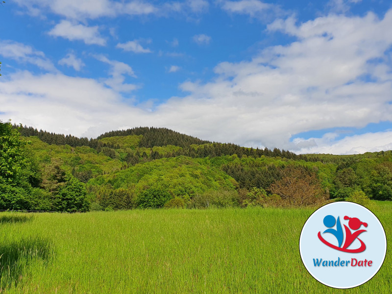 Auf steinigen Wegen zum Wildeleutestein