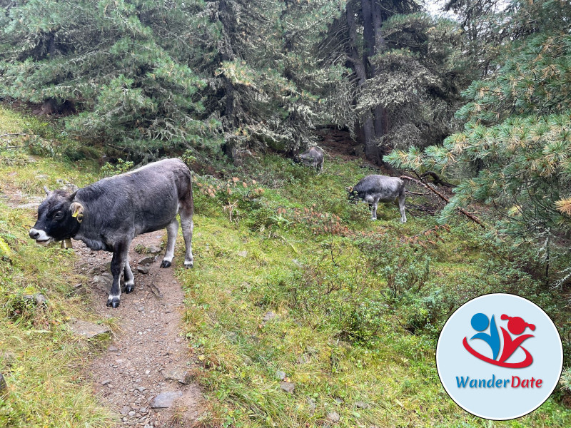 Ötztal - Im Tal der 250 Dreitausender