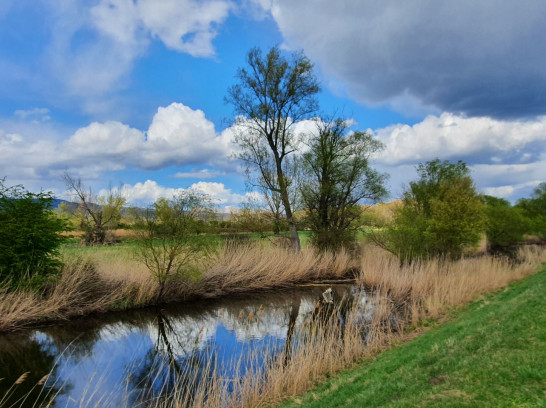 Radtour Rheinhessen erleben