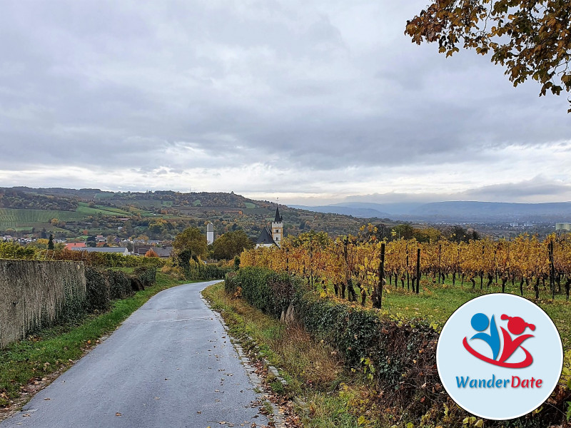 Radtour Rheinhessen erleben