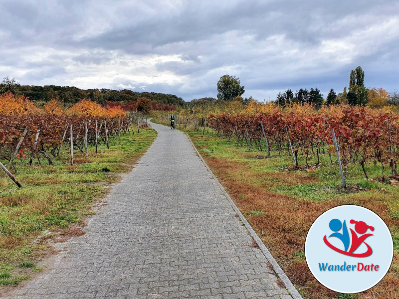 Radtour Rheinhessen erleben