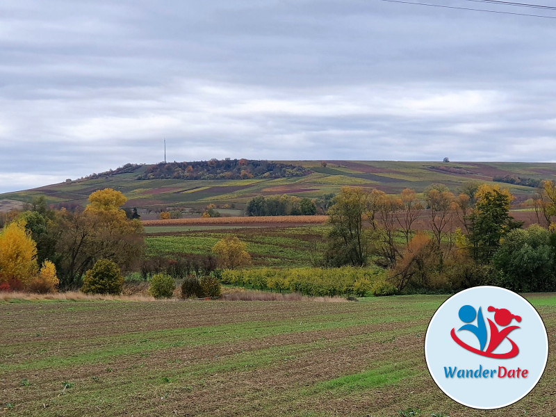 Radtour Rheinhessen erleben