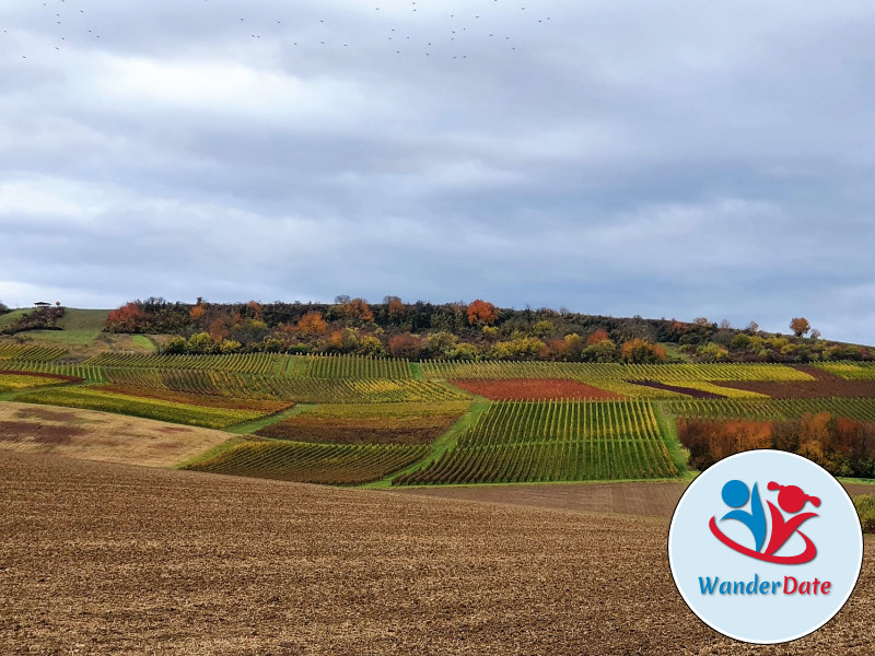 Radtour Rheinhessen erleben