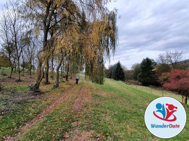 Radtour Rheinhessen erleben