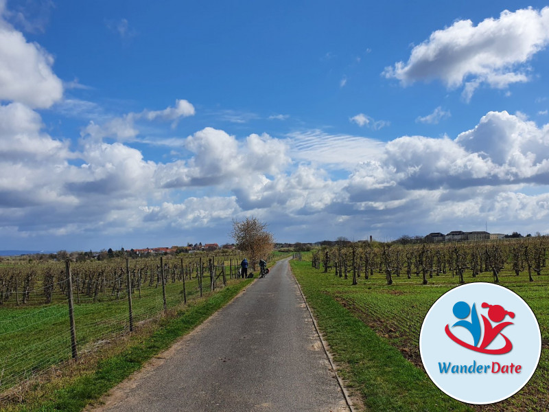 Radtour Rheinhessen erleben