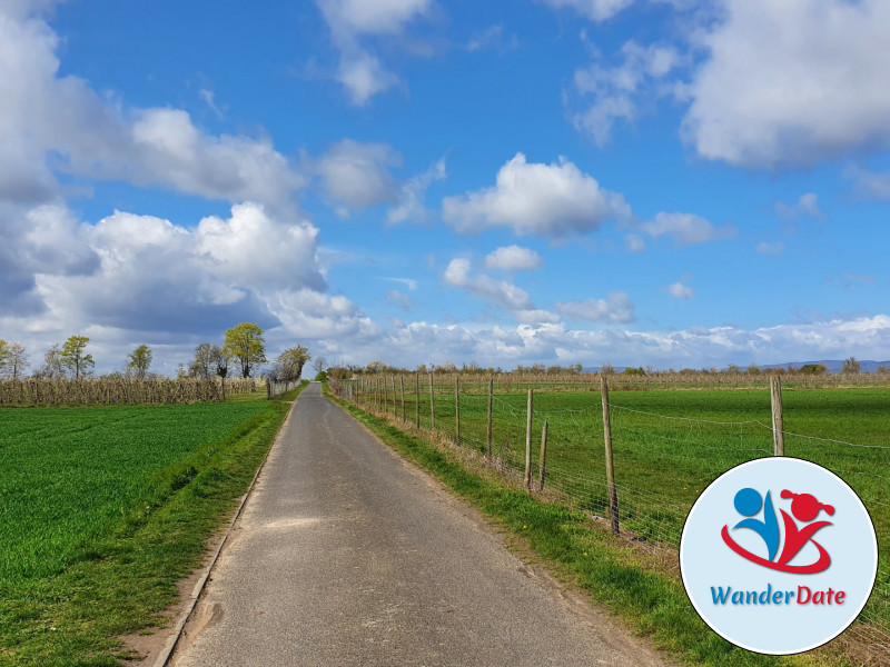 Radtour Rheinhessen erleben