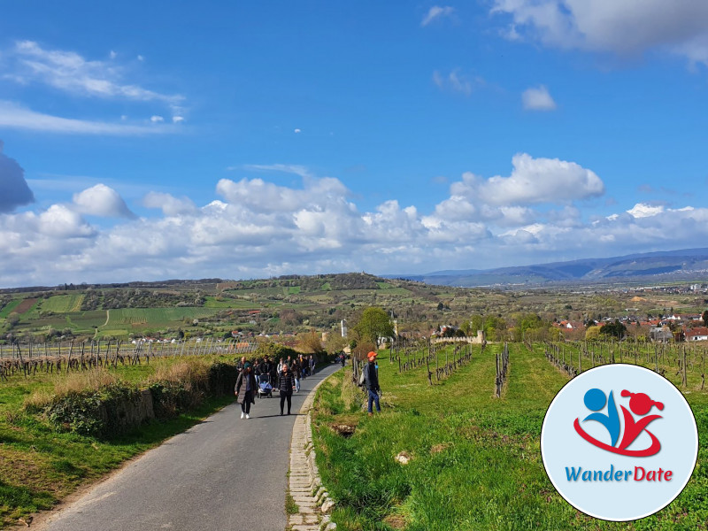 Radtour Rheinhessen erleben