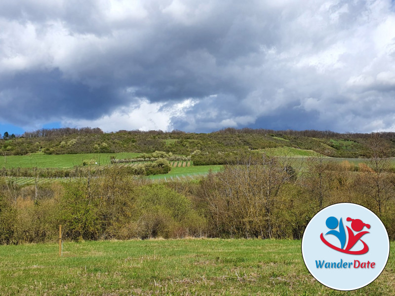 Radtour Rheinhessen erleben