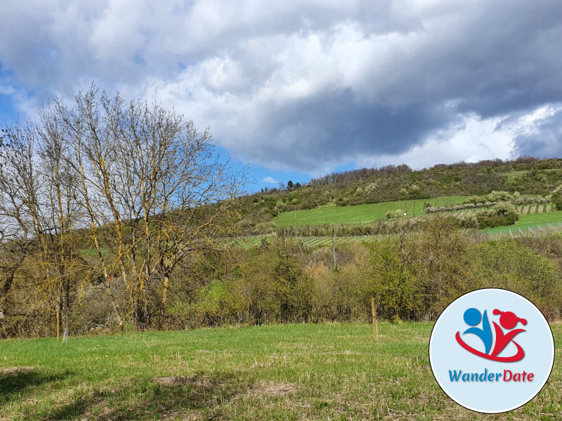 Radtour Rheinhessen erleben