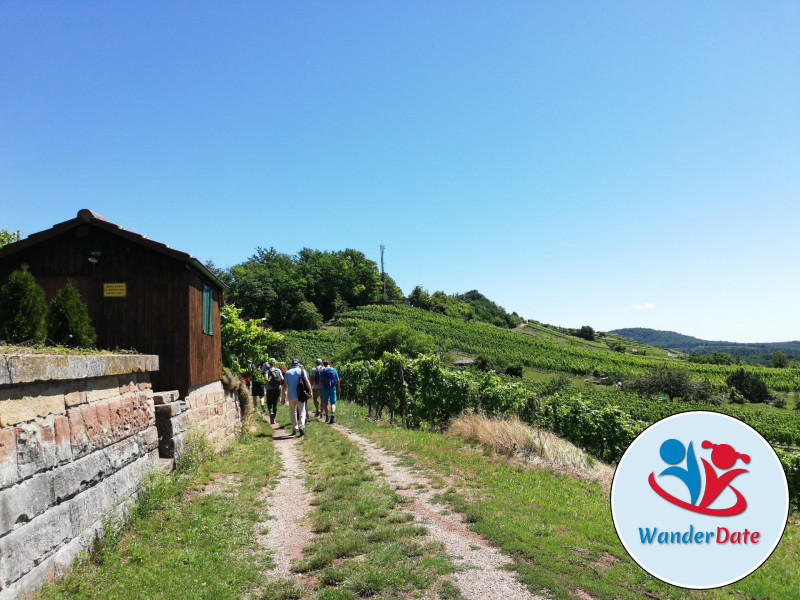 Kloster Maulbronn, Weinberge und Seen