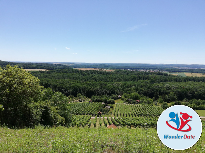 Kloster Maulbronn, Weinberge und Seen