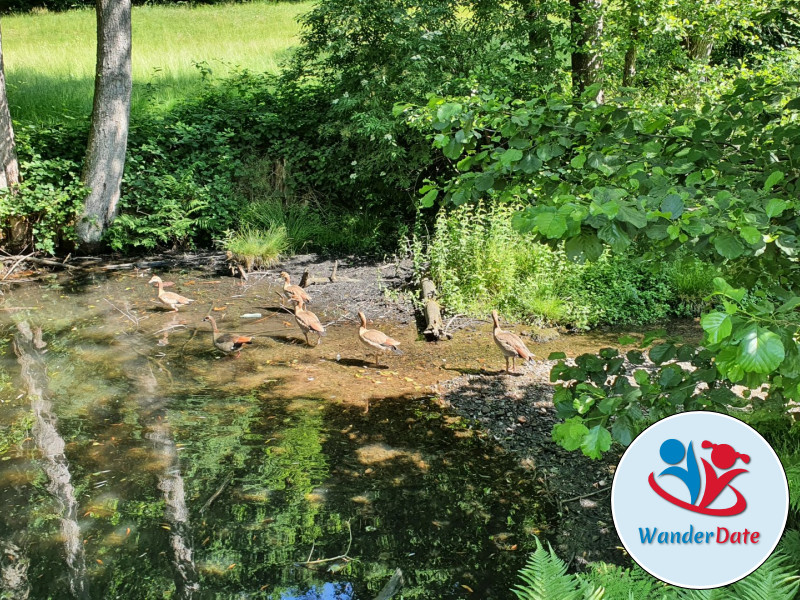 Erdkühler und Englischer Garten in Michelstadt