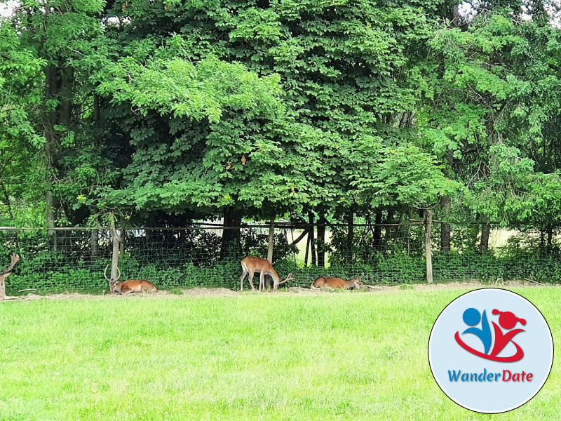 Erdkühler und Englischer Garten in Michelstadt